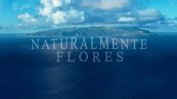 Documentário ‘Naturalmente Flores’ premiado no Festival ART&TUR