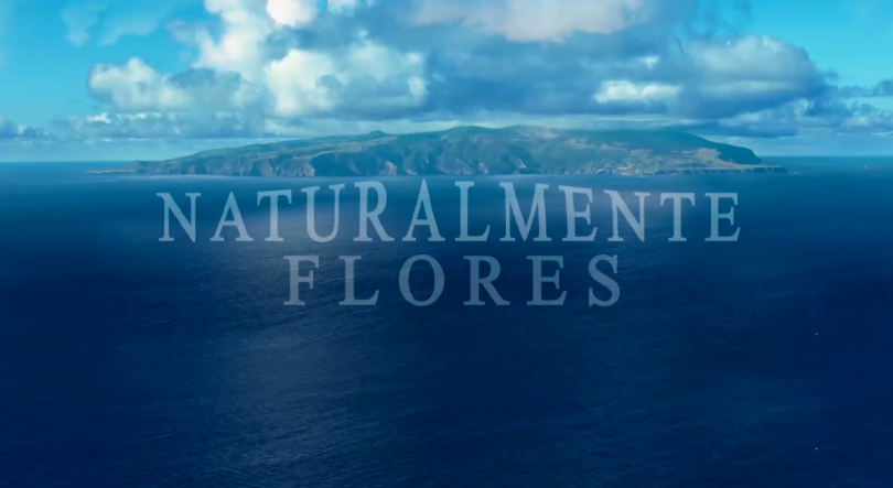 ‘Naturalmente Flores’ estreia hoje na RTP Açores