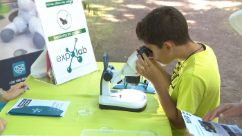 Festival de Ciência em Ponta Delgada com mais de 600 participantes