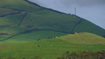 Governo anuncia investimento de 20 milhões de euros para a Agricultura