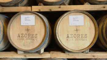 Azores Wine Company entre as 100 melhores adegas do Mundo