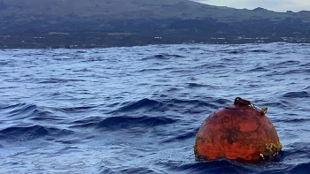 Boia ondógrafo instalada ao largo do Faial não oferece segurança