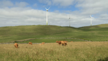 Mais de 60% da energia consumida na ilha Graciosa é verde