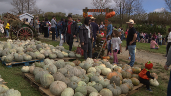 Quinta do Agricultor assinala Dia da Abóbora