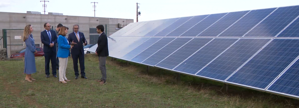 Energias Renováveis: Graciólica perspetiva aumento do parque fotovoltaico