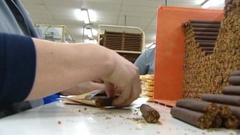 Postos de trabalho em risco na Fábrica de Tabaco Micaelense