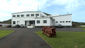 Associação de Agricultores da Graciosa denuncia atrasos das verbas