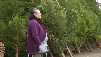 Feira da Árvore de Natal no Campo de São Francisco