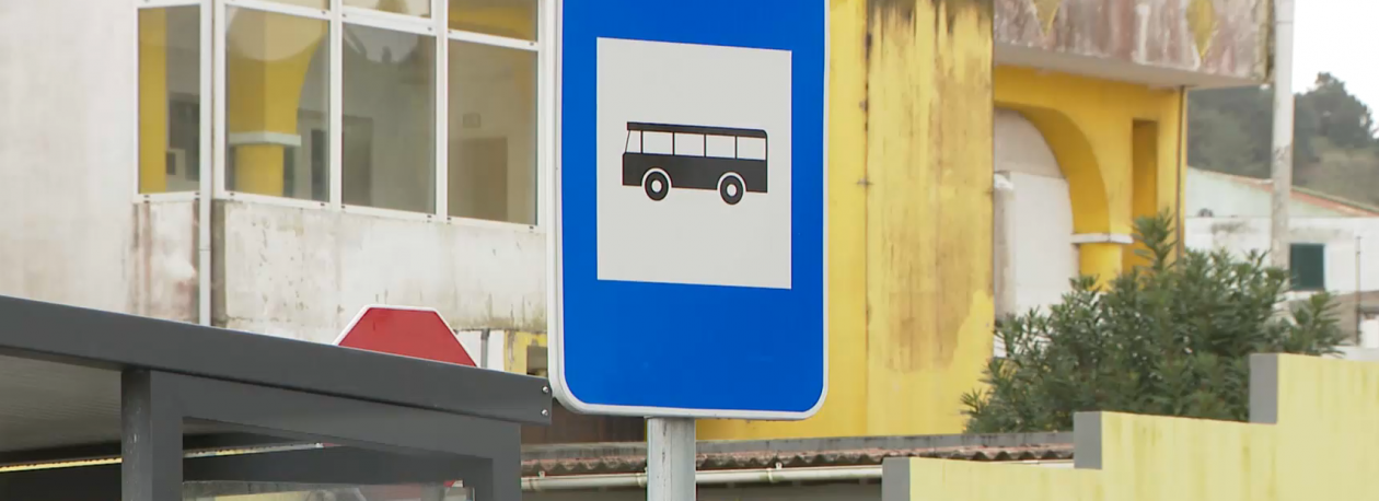 Imagem de Ainda estão por regularizar pagamentos em atraso às empresas de transporte escolar