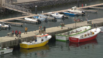 Cooperativa Porto de Abrigo e Sindicato Livre dos Pescadores denunciam atrasos no Fundopesca