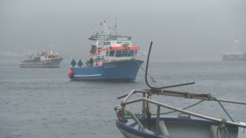 Fed. das Pescas apela à moderação na captura de goraz