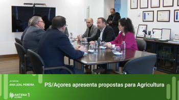 Partido Socialista apresenta propostas para Agricultura