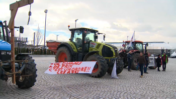 Cimeira Europeia das Regiões: Vasco Cordeiro garante debate sobre preocupações dos agricultores