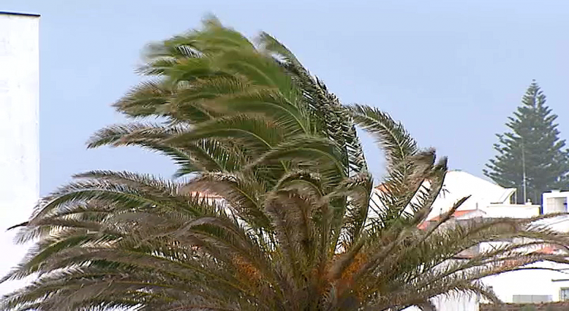 Imagem de Grupos Central e Oriental sob alerta Amarelo para vento