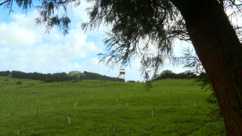 Município de Angra cria Jardim Botânico da Matela