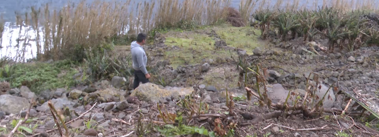 São Jorge: Colheitas perdidas devido à chuva e ao vento