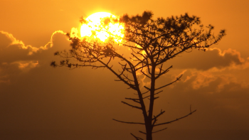 São Miguel, Santa Maria e Terceira registam anomalias na temperatura média do ar