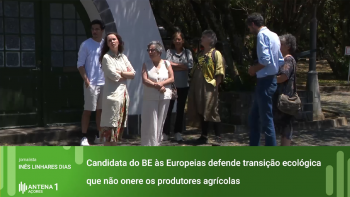 Europeias: Candidata do BE defende transição ecológica que não onere produtores agrícolas