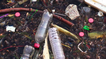 Azores EcoBlue: Desperdício recolhido do mar transformado em fio têxtil e de construção