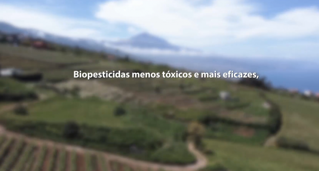 Projeto Macbiopest Universidades Da Macaronésia Trabalham Para