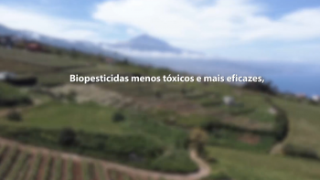 Projeto Macbiopest: Universidades da Macaronésia trabalham para desenvolver biopesticida 