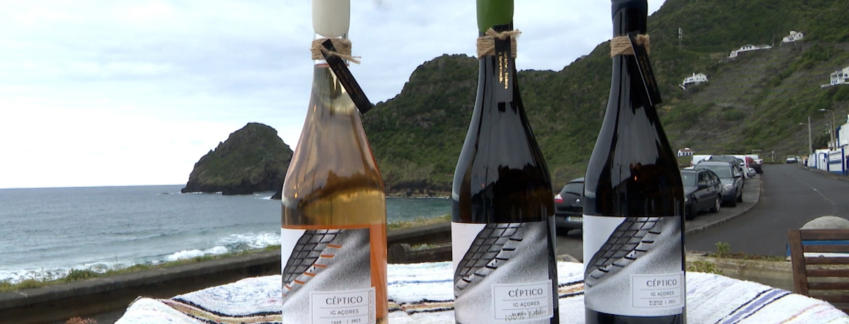 Há 3 novos vinhos certificados produzidos em Santa Maria