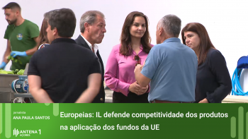 Europeias: Candidata da Iniciativa Liberal defende competitividade dos produtos açorianos