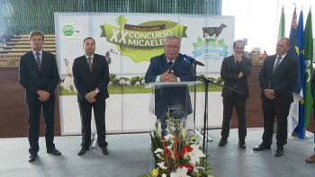 Agricultores reivindicam apoio do Governo para compensar prejuízos causados pelo mau tempo