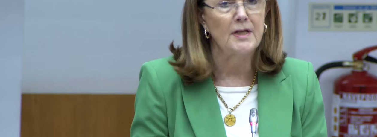 Imagem de Operação Last Call: Berta Cabral não foi constituída arguida porque tem imunidade