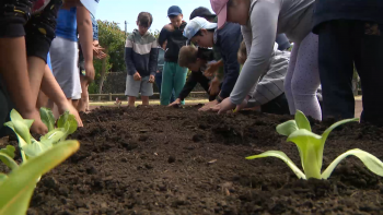 Associação Agrícola de São Miguel celebrou o Dia da Criança 