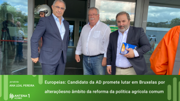 Europeias: Paulo Nascimento Cabral promete lutar por alterações no âmbito da reforma da política agrícola comum