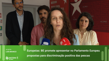 Europeias: Aurora Ribeiro promete apresentar no Parlamento Europeu propostas para discriminação positiva das pescas 