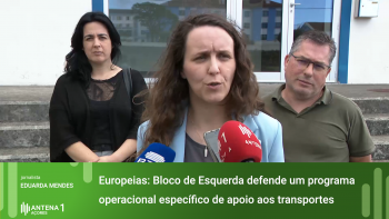 Europeias: Aurora Ribeiro defende um programa operacional específico de apoio aos transportes