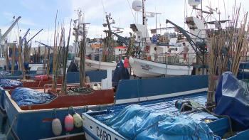 Associações dos pescadores pedem aumento entre 4 a 5 mil toneladas para o atum patudo