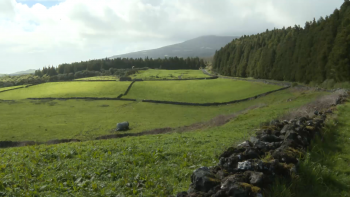 Alterações Climáticas: Câmara Municipal Ponta Delgada aderiu à Aliança Climática Transatlântica