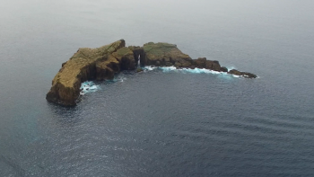 Região quer que o Estado assuma as suas obrigações na fiscalização das Áreas Marinhas Protegidas