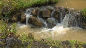 Tanques termais do Parque Terra Nostra e da Poça da Dona Beija reabertos