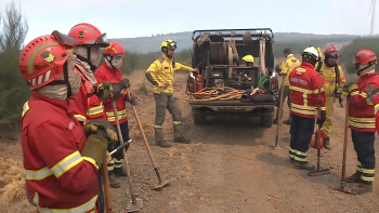 Incêndio na Madeira: Governo dos Açores recebe louvor pela ajuda no combate