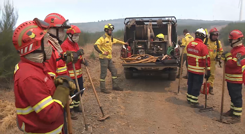 Incêndio na Madeira: Governo dos Açores recebe louvor pela ajuda no combate