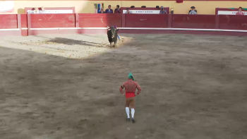 Corrida à portuguesa nas Festas da Praia