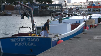 Sindicato Livre dos Pescadores denuncia atrasos no pagamento de apoios 