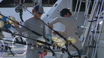 Big Game Fishing: Espadim azul atrai pescadores de todo o mundo aos Açores