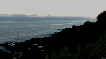 Graciosa: Inaugurado projeto-piloto de iluminação pública para proteger aves marinhas 