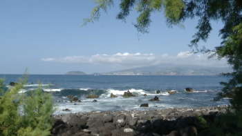 Travessia Faial-Pico: 31 atletas na 9ª prova de natação em águas abertas