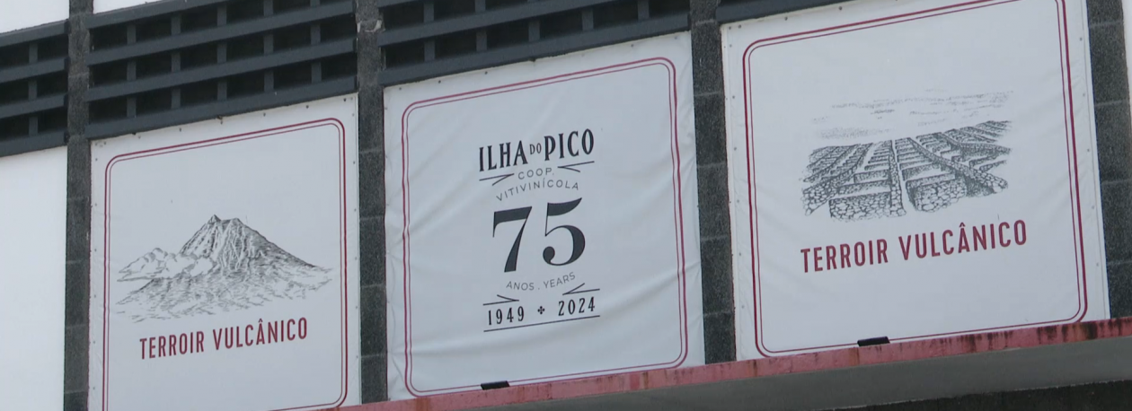 75 anos da Cooperativa Vitivinícola da Ilha do Pico