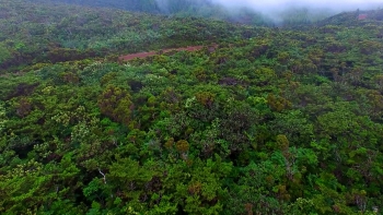 Imagem de Ambientalistas manifestam-se contra a suspensão dos instrumentos de gestão do território dos Açores