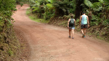 Romaria à Serreta: Interrupção da estrada não demove peregrinos