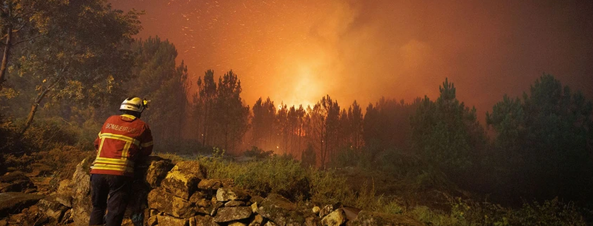 Hoje é dia de luto nacional em memória das vítimas dos incêndios