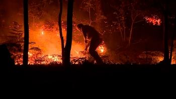 Presidente da ALRAA e Federação dos Bombeiros dos Açores solidários com operacionais e populações afetadas pelos incêndios