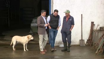 Eurodeputado André Rodrigues defende mais períodos de candidaturas para jovens agricultores